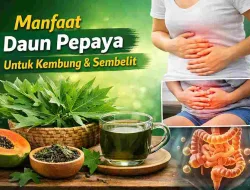 Manfaat Daun Pepaya untuk Atasi Kembung dan Sembelit