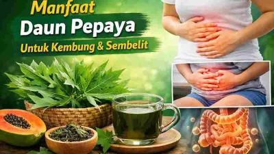 Daun pepaya segar di atas meja kayu sebagai herbal alami untuk melancarkan pencernaan, mengatasi kembung, dan sembelit.