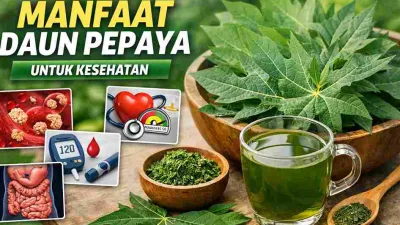 Manfaat Daun Pepaya untuk Kesehatan: Khasiat Terbukti Ilmiah & Cara Aman Konsumsi