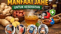 Manfaat Jahe bagi Kesehatan Tubuh Menurut Ahli dan Riset