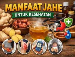 Manfaat Jahe bagi Kesehatan Tubuh Menurut Ahli dan Riset