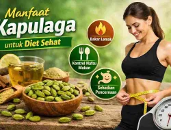 Manfaat Kapulaga bagi Diet Sehat, Bantu Kontrol Berat Badan