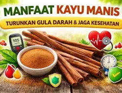 Manfaat Kayu Manis: Turunkan Gula Darah & Jaga Kesehatan Jantung