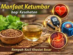 Manfaat Ketumbar bagi Kesehatan, Rempah Kecil Khasiat Besar