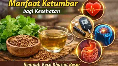 Thumbnail manfaat ketumbar menampilkan biji ketumbar, daun ketumbar, dan secangkir air rebusan ketumbar dengan ikon kesehatan seperti jantung, gula darah, otak, dan pencernaan.