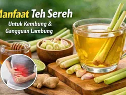 Manfaat Minuman Sereh untuk Kembung dan Gangguan Lambung