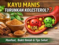 Mengejutkan! Kayu Manis Bisa Bantu Turunkan Kolesterol Jahat