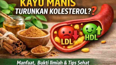 Ilustrasi kayu manis dan potongan pembuluh darah yang menampilkan penurunan LDL dan peningkatan HDL untuk menjelaskan manfaat kayu manis dalam membantu menurunkan kolesterol.