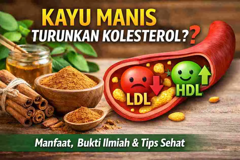 Ilustrasi kayu manis dan potongan pembuluh darah yang menampilkan penurunan LDL dan peningkatan HDL untuk menjelaskan manfaat kayu manis dalam membantu menurunkan kolesterol.