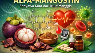 Mengenal Alfa-Mangostin, Senyawa Kuat di Balik Kulit Manggis