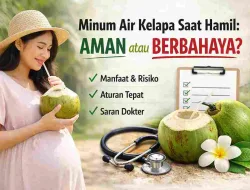 Minum Air Kelapa Saat Hamil Setiap Hari, Berbahaya atau Tidak?