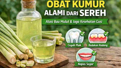 Obat kumur alami dari sereh dengan air rebusan sereh segar untuk menjaga kesehatan gigi dan mulut