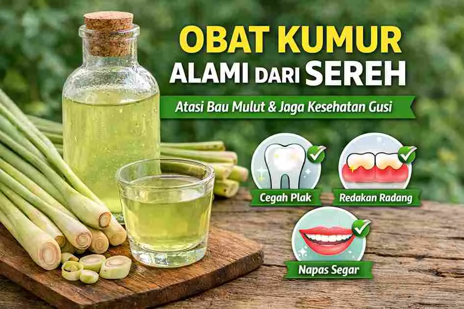 Obat kumur alami dari sereh dengan air rebusan sereh segar untuk menjaga kesehatan gigi dan mulut