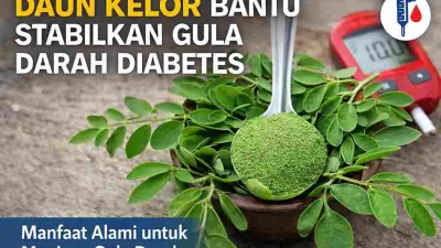 Daun kelor dan bubuk kelor membantu menstabilkan gula darah pada penderita diabetes secara alami
