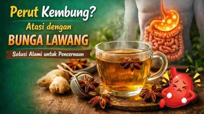 Teh bunga lawang hangat dengan ilustrasi sistem pencernaan sebagai solusi alami untuk meredakan perut kembung