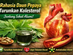 Rahasia Daun Pepaya Turunkan Kolesterol, Jantung Sehat Alami!