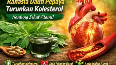 Rahasia Daun Pepaya Turunkan Kolesterol, Jantung Sehat Alami!