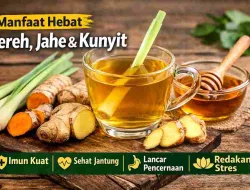 Rutin Minum Sereh, Jahe, Kunyit, Ini Efeknya Bagi Tubuh