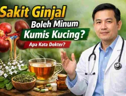 Sakit Ginjal Bolehkah Minum Kumis Kucing? Ini Kata Dokter