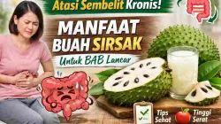 Thumbnail informatif tentang manfaat buah sirsak untuk mengatasi sembelit kronis, menampilkan sirsak segar, jus sirsak, dan ilustrasi pencernaan.
