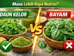 Sering Dikira Sama, Nutrisi Daun Kelor dan Bayam Beda Jauh