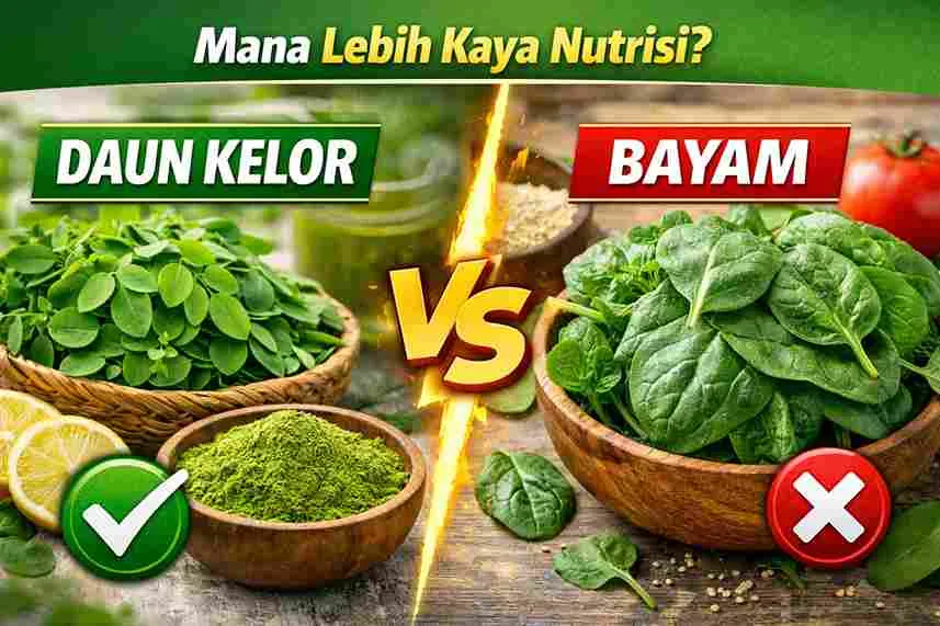 Perbandingan daun kelor dan bayam segar untuk melihat mana yang lebih kaya nutrisi dan manfaat kesehatan