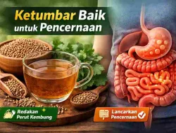 Sering Kembung? Ketumbar Ternyata Baik untuk Pencernaan