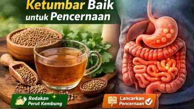 Ilustrasi biji dan air rebusan ketumbar yang membantu meredakan perut kembung dan melancarkan sistem pencernaan