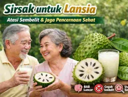 Sirsak untuk Lansia: Atasi Sembelit & Jaga Pencernaan Tetap Sehat