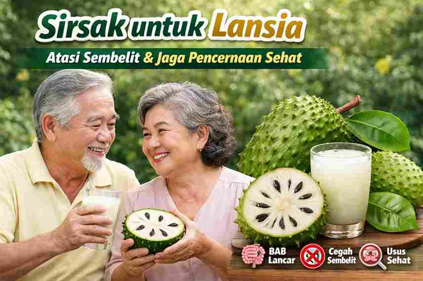 Lansia minum jus sirsak segar untuk membantu melancarkan pencernaan dan mencegah sembelit secara alami