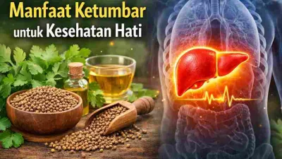 Tak Banyak yang Tahu, Ketumbar Punya Potensi Jaga Fungsi Hati