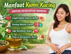 Tak Banyak yang Tahu, Kumis Kucing Baik untuk Kesehatan Wanita