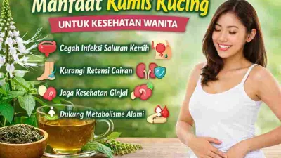 Tak Banyak yang Tahu, Kumis Kucing Baik untuk Kesehatan Wanita