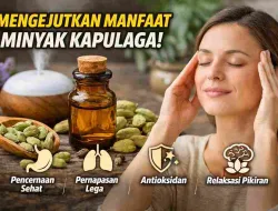 Tak Banyak yang Tahu, Minyak Kapulaga Punya Manfaat Mengejutkan
