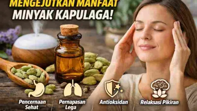 Tak Banyak yang Tahu, Minyak Kapulaga Punya Manfaat Mengejutkan