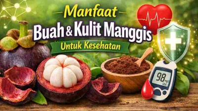 Tak Cuma Buahnya, Kulit Manggis Juga Bermanfaat bagi Kesehatan
