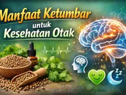 Tak Cuma Bumbu, Ketumbar Ternyata Punya Manfaat untuk Otak