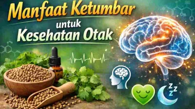 Ilustrasi ketumbar dan biji ketumbar dengan gambar otak bercahaya yang melambangkan manfaat ketumbar untuk kesehatan otak dan daya ingat