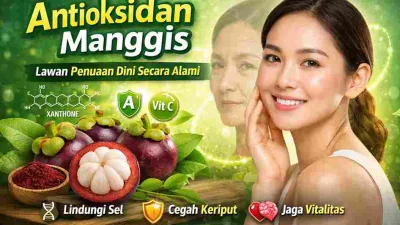 Ilustrasi buah manggis dan wajah wanita dengan kulit sehat yang menggambarkan manfaat antioksidan manggis untuk melawan penuaan dini secara alami.