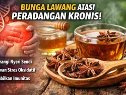 Tak Disangka! Bunga Lawang Ampuh Kurangi Peradangan Kronis