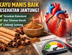 Tak Disangka! Kayu Manis Bisa Bantu Jaga Kesehatan Jantung