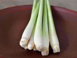 Tak Disangka! Sereh Punya Manfaat Ini untuk Kesehatan Tubuh