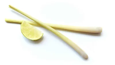 Batang sereh segar dengan potongan jeruk nipis di atas latar putih