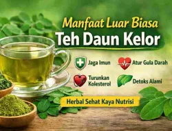 Tak Disangka, Teh Daun Kelor Punya Manfaat Luar Biasa