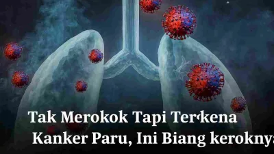 Ilustrasi paru-paru manusia dengan paparan partikel berbahaya yang memicu kanker paru pada non perokok akibat polusi udara dan lingkungan tercemar.