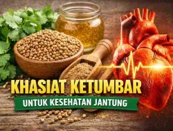 Tak Sekedar Bumbu, Ini Khasiat Ketumbar bagi Kesehatan Jantung