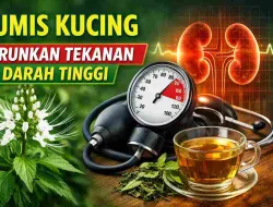 Tekanan Darah Tinggi? Penelitian Ini Ungkap Peran Kumis Kucing