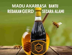 Terbukti! Madu Akarrasa Jadi Andalan Sembuhkan Gerd