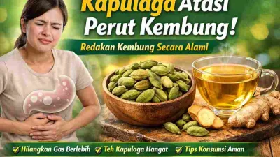 Ternyata Kapulaga Mampu Redakan Perut Kembung Secara Cepat!