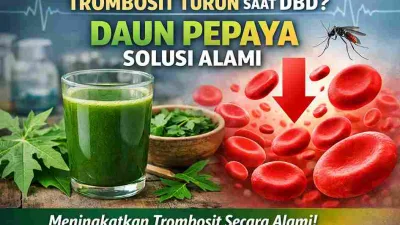 Trombosit Turun Saat DBD? Daun Pepaya Bisa Jadi Solusi Alami